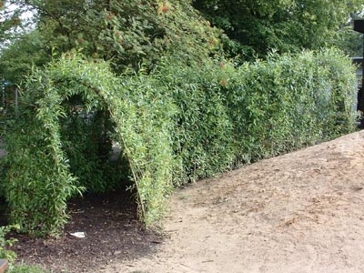 Kita Arche, Bad Bramstedt